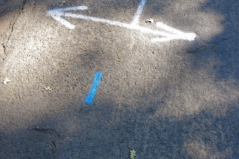 blue line and white arrows on pavement