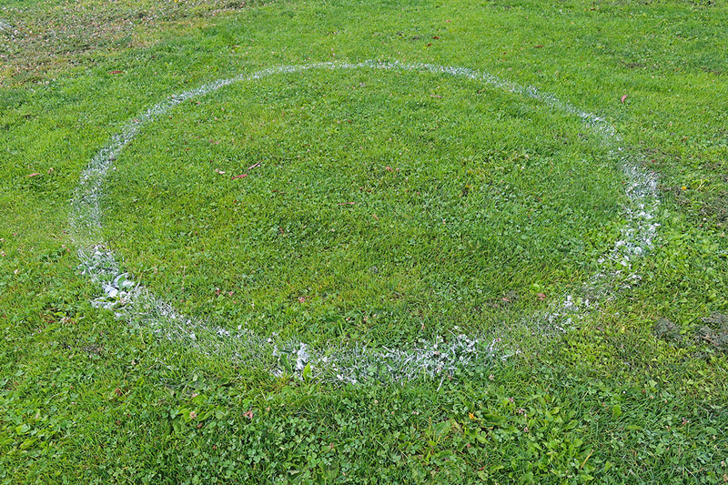 social distancing circle in grass