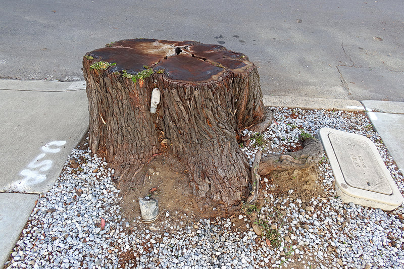 stump on sidewalk