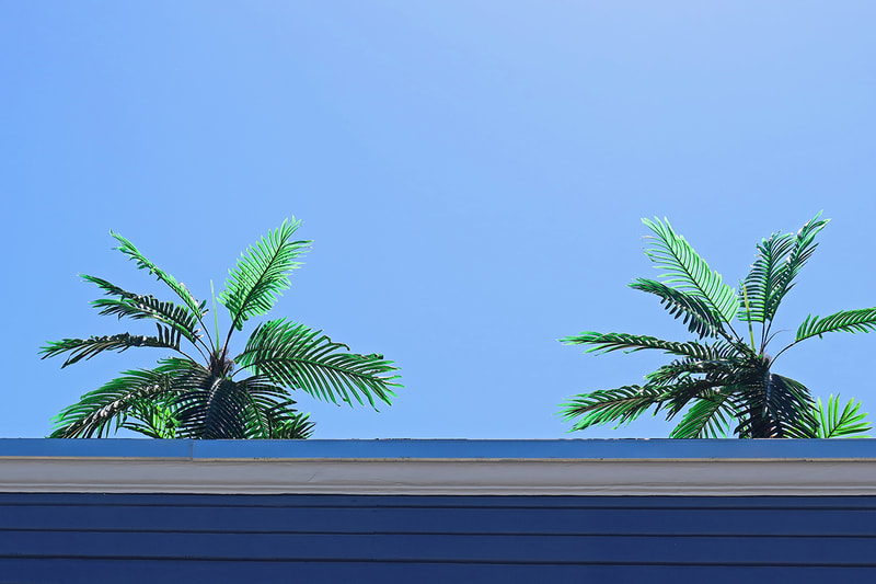 fake palm trees