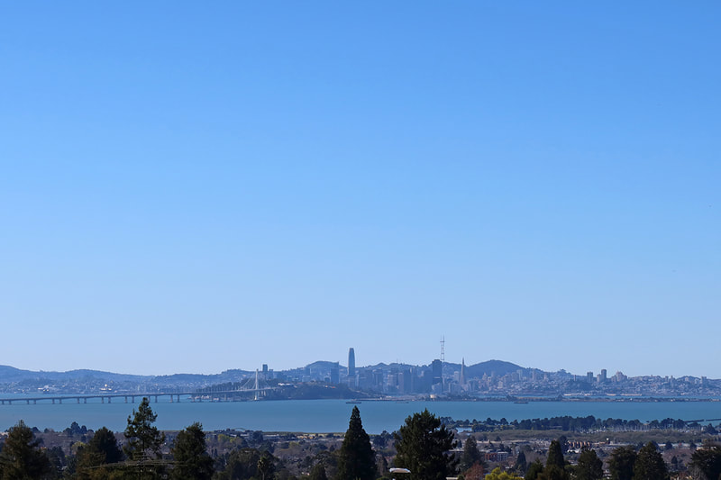 view of SF from Berkeley hills