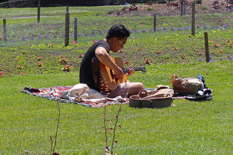 man playing guitar in the park