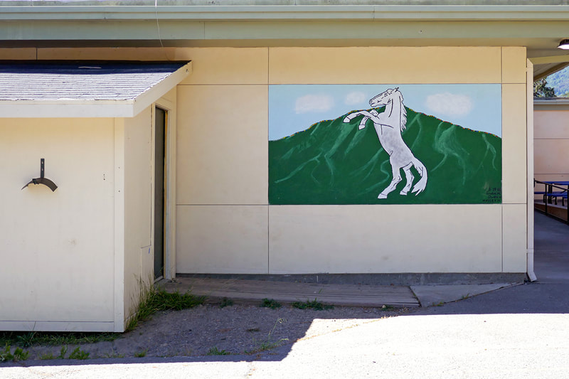 mural of horse leaping