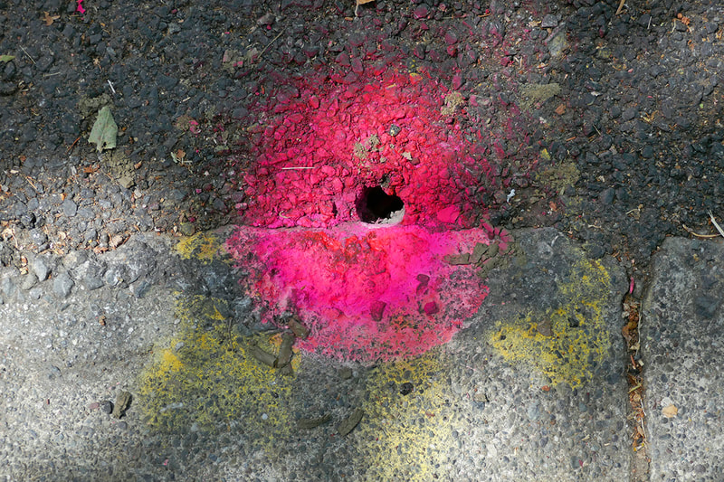 hot pink and yellow spray paint on asphalt 