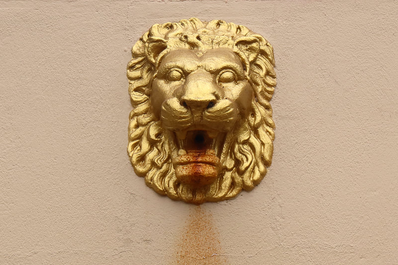 Gold lion head