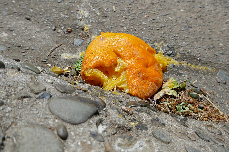 smashed orange