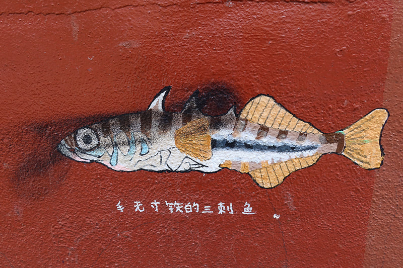 fish illustration on building