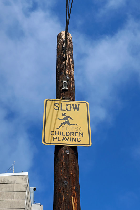 sign to slow down for pets and children playing 