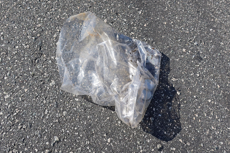 plastic bag in street