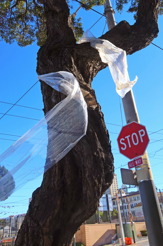 stop sign and plastic on tree