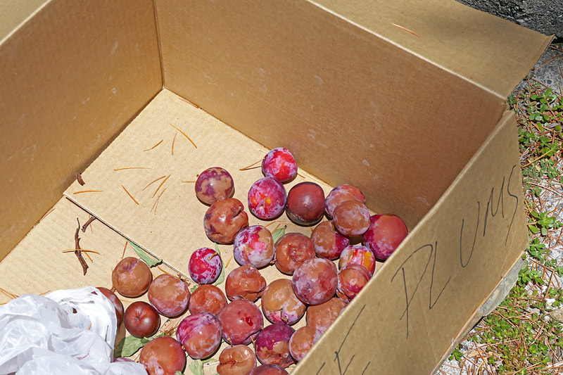 plums in cardboard box