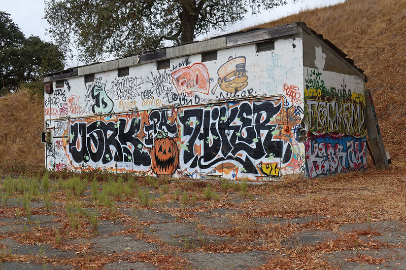 pumpkin graffiti