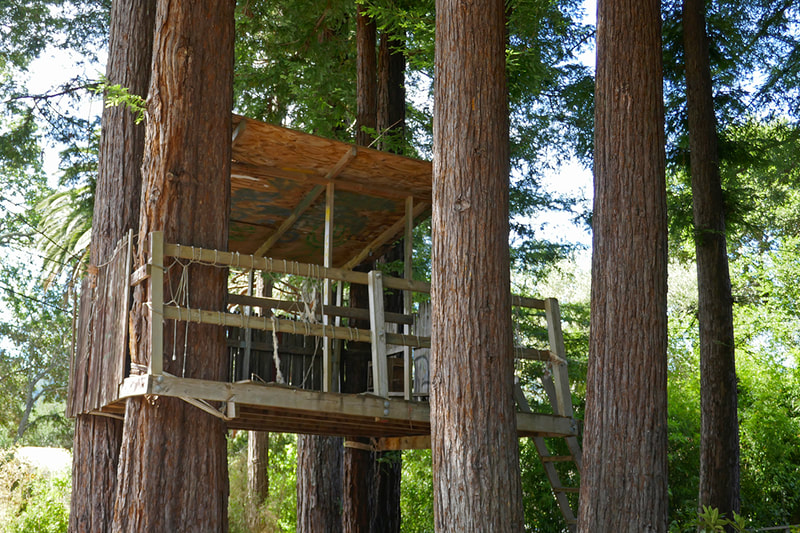 tree house in redwoods