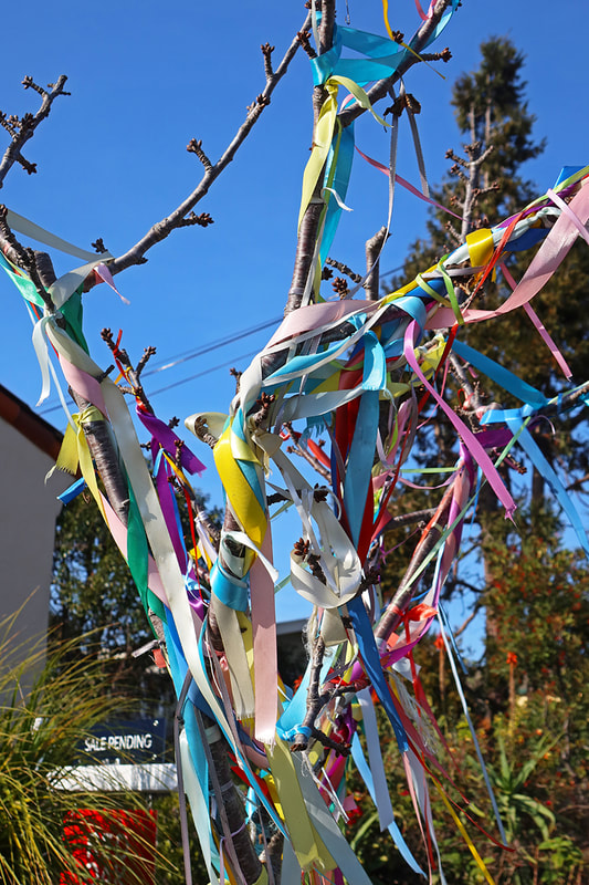 ribbons wrapped around tree