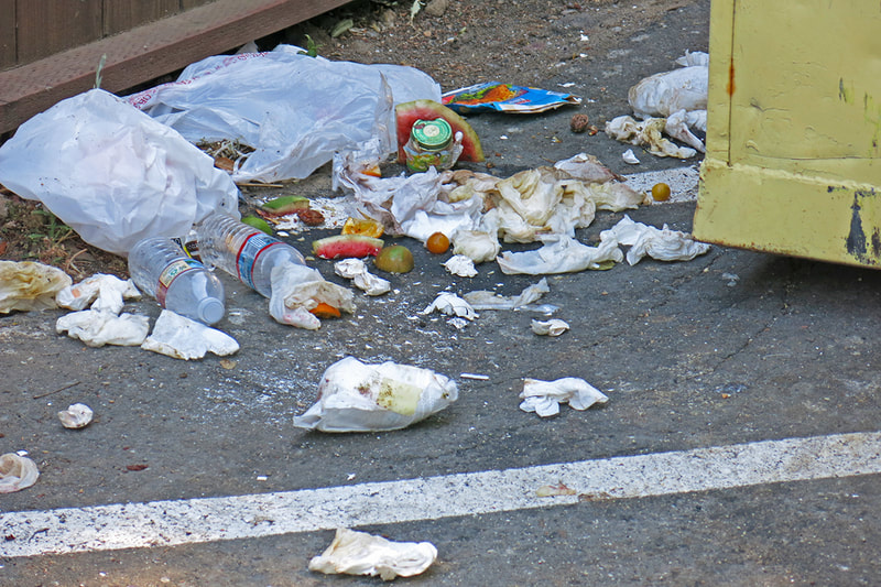 garbage on ground beside dumpster