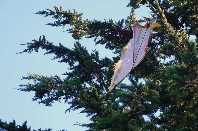 kite stuck in tree