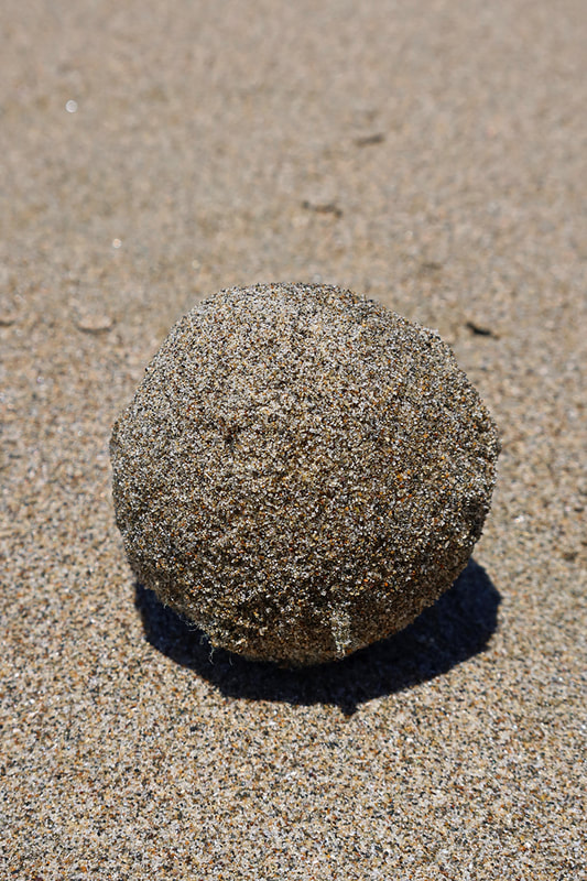 ball covered in sand