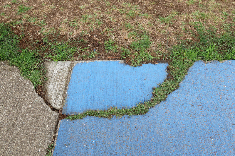 grass growing through sidewalk painted blue