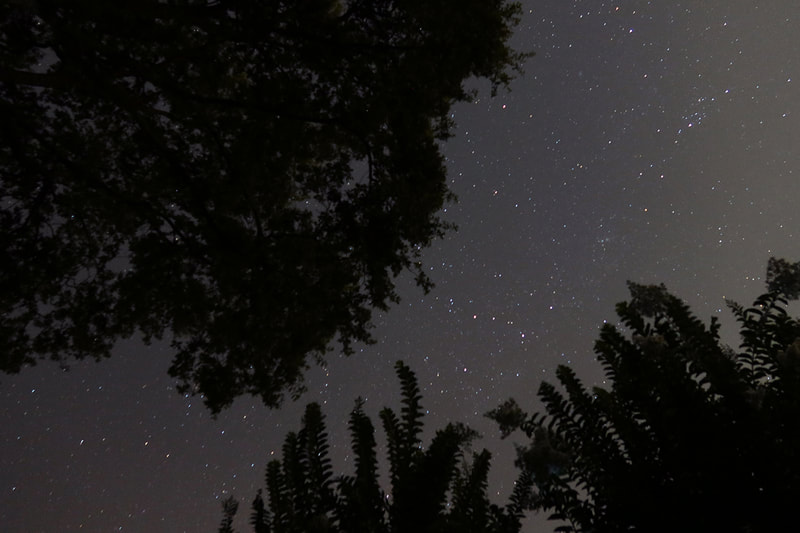 stars in sky in backyard