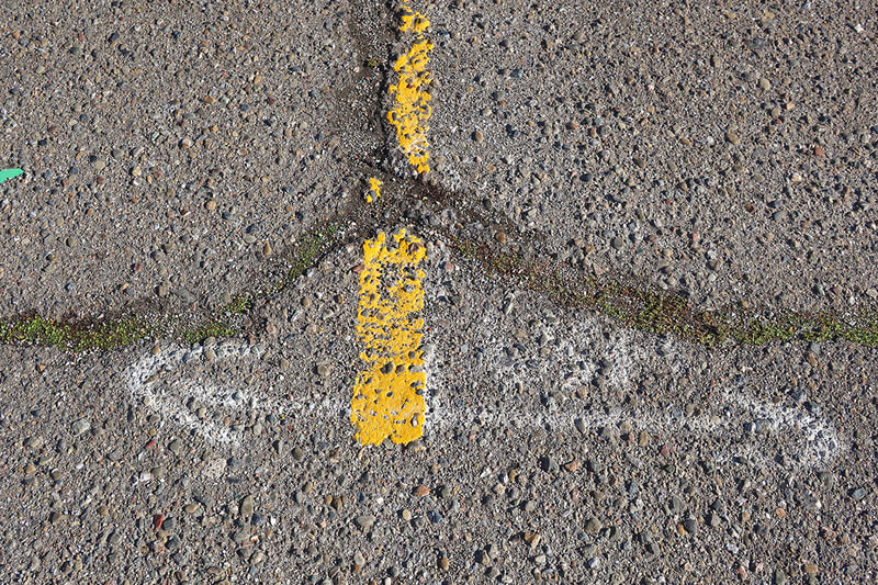arrow and line on asphalt 