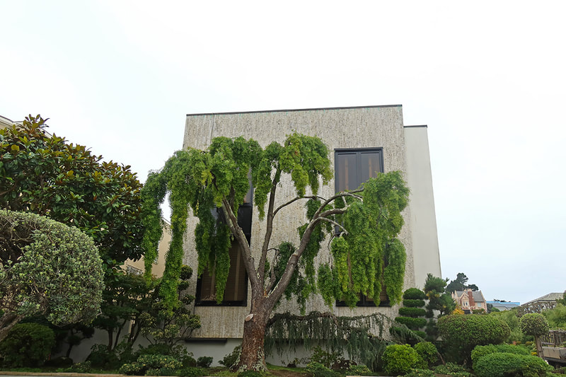 topiary garden in front of modern house