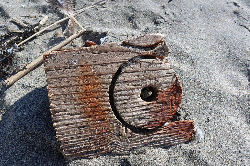 piece of wood on beach